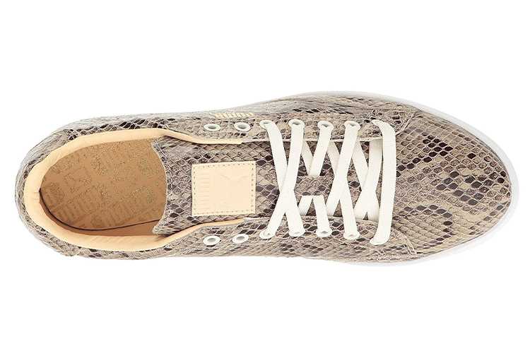 Lookbook Puma Match Animal 米黑色 女款 低筒滑板鞋