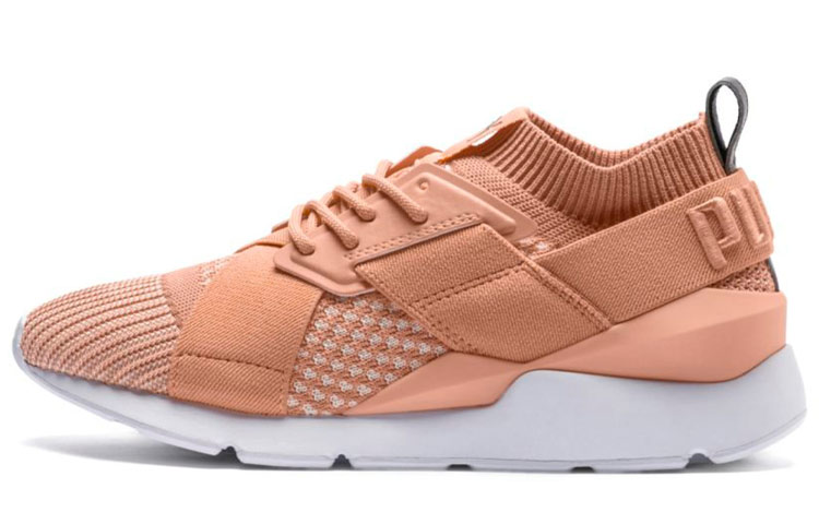 Buy (W) プーマ Muse Evoknit アプリコットオレンジ 365536-05
