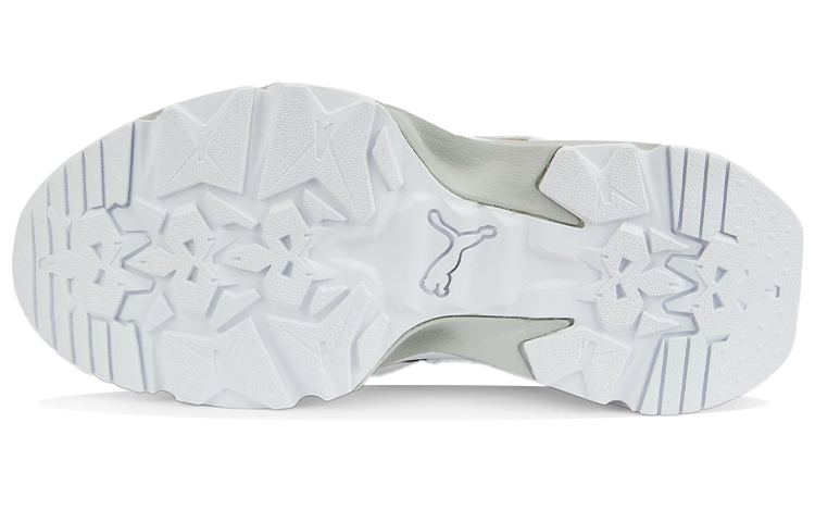Details for (W) Puma Orchid PRM 'Abu Putih' 386716-02