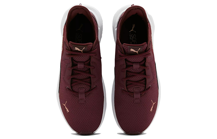 Order Puma Platinum Shimmer 低幫跑步鞋 女款 酒紅色