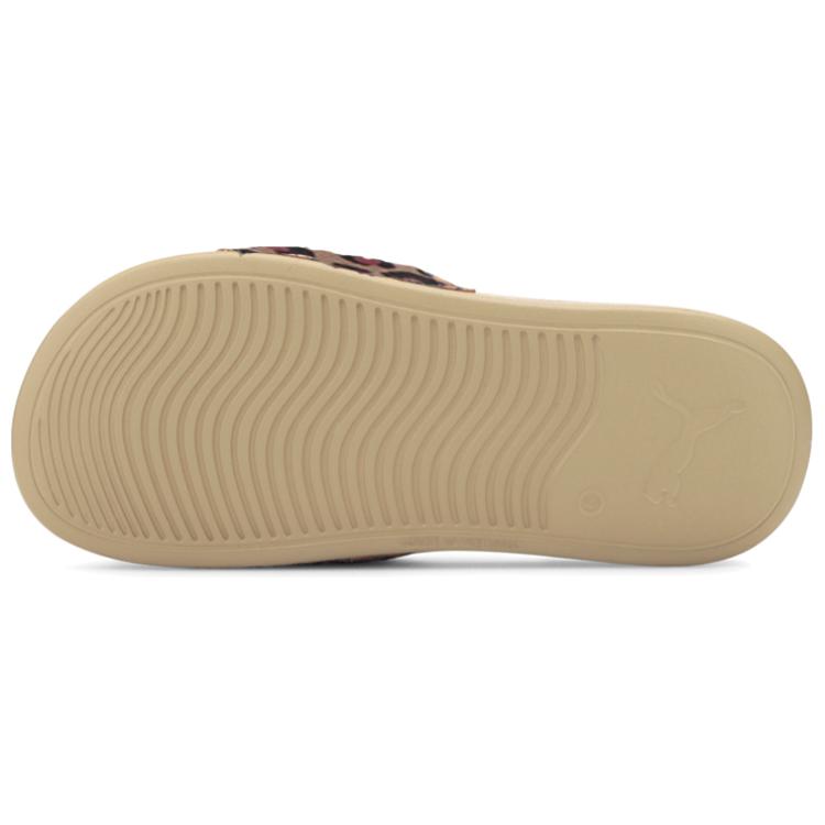 Shop (W) プーマ ポップキャット20 レオパード (ペールカーキ) 374467-02