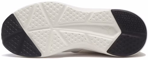 Details for (Women) Puma Prowl 3 Ease In TMN *01 Alpine Snow 314229-01