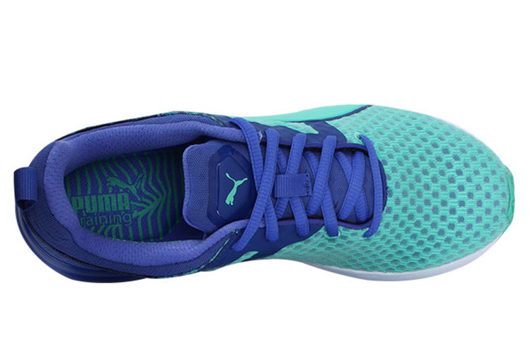 Lookbook (W) Puma Pulse XT Core Grün Blau Sneakers 188558-05