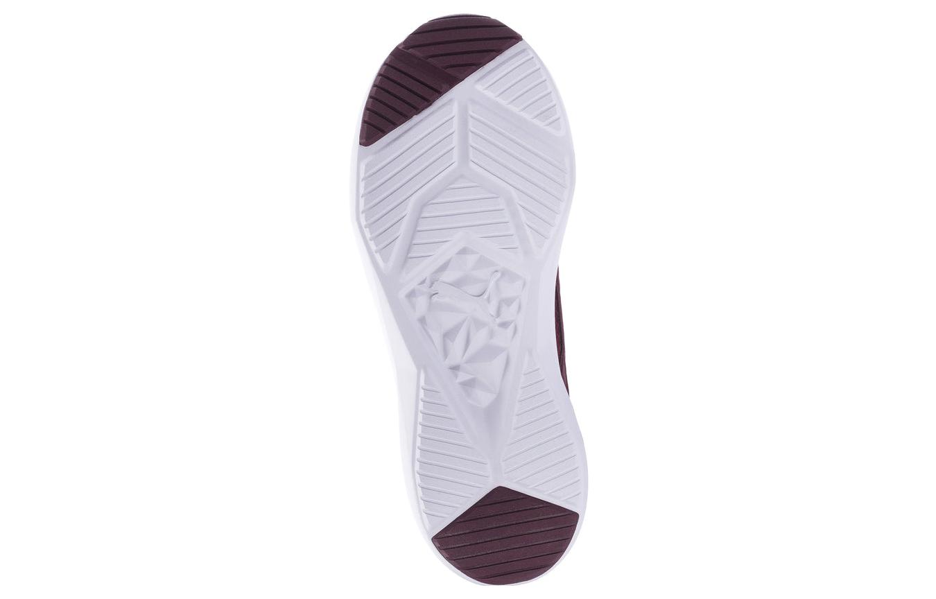 Purchase (W) Puma Softride Enzo NXT ''Aubergine'' Baskets Femme 195235-12