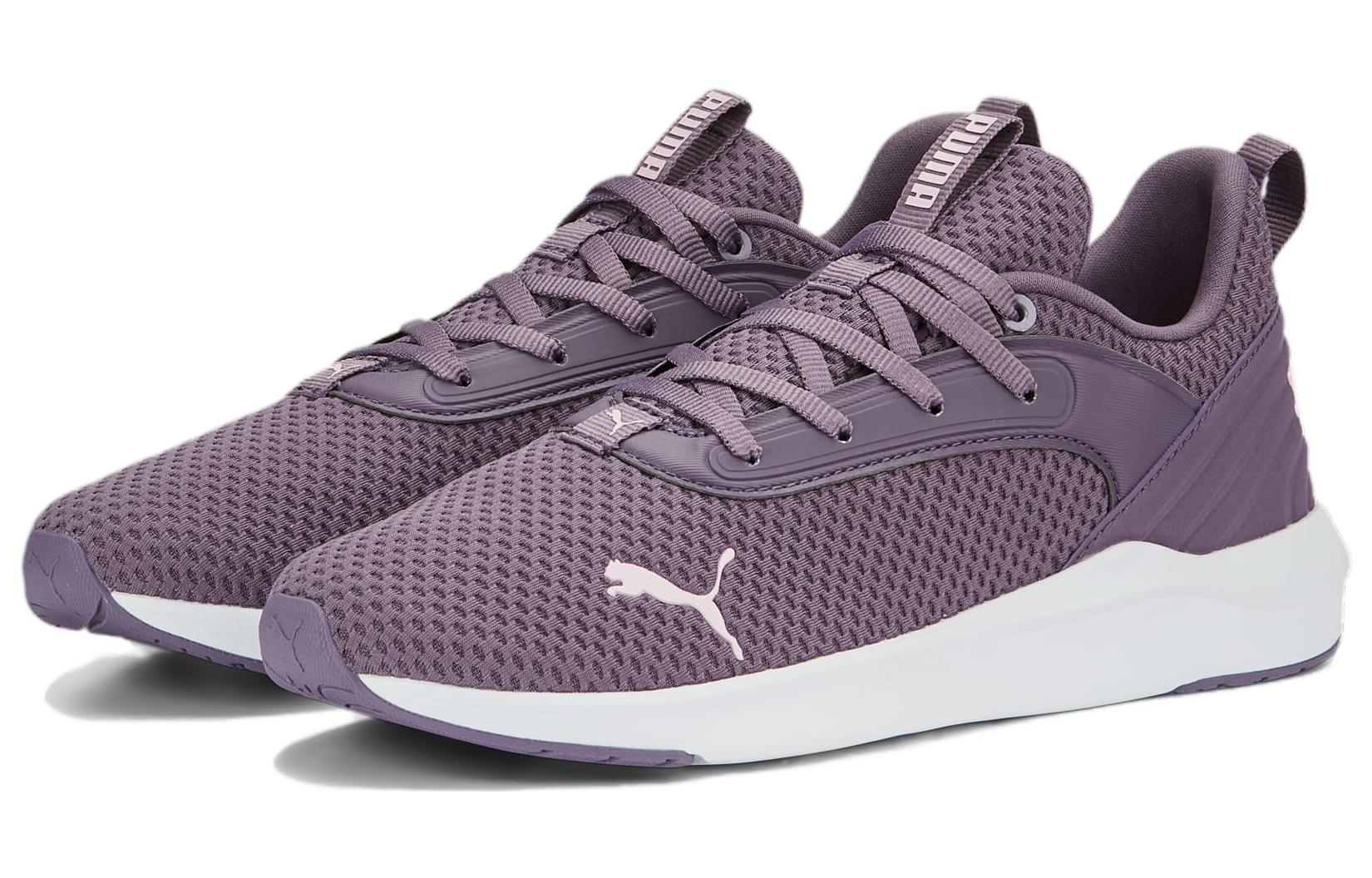 Lookbook (W) 푸마 소프트라이드 플레어 '퍼플 화이트' 377904-04