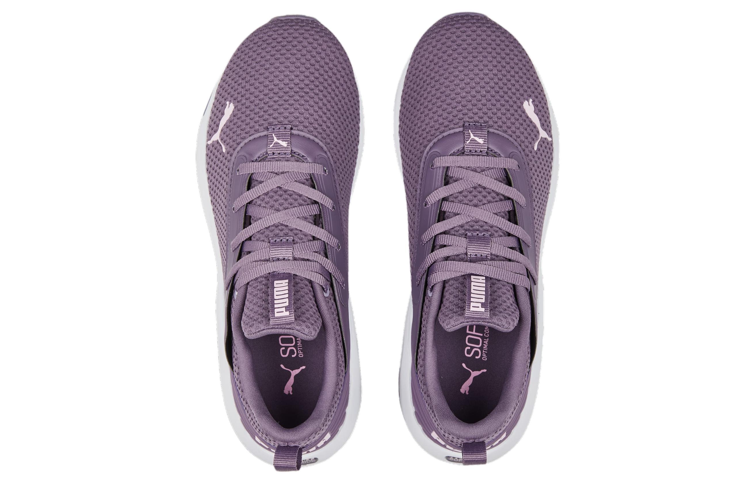 Shop (W) 푸마 소프트라이드 플레어 '퍼플 화이트' 377904-04