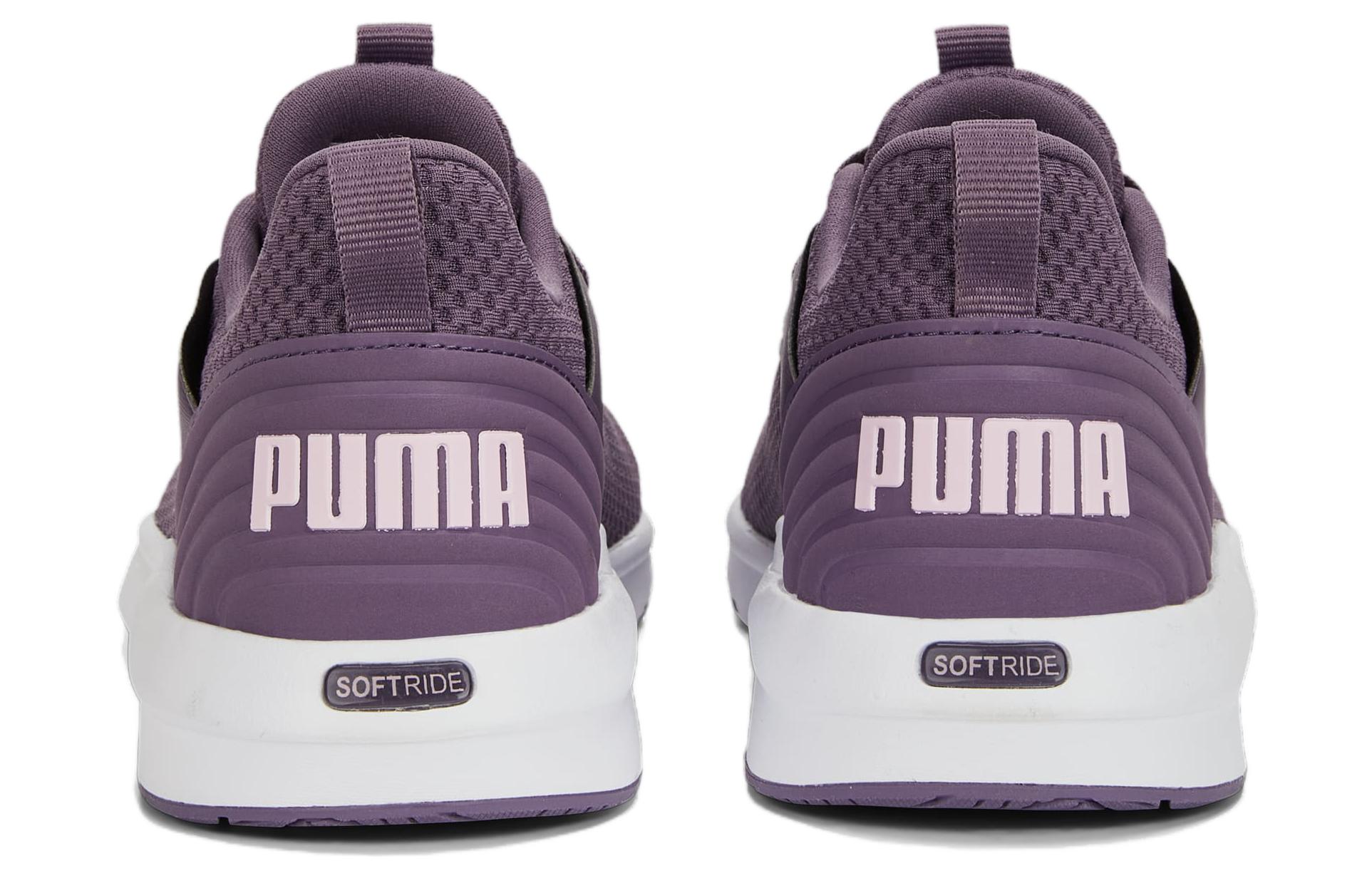 Purchase (W) 푸마 소프트라이드 플레어 '퍼플 화이트' 377904-04
