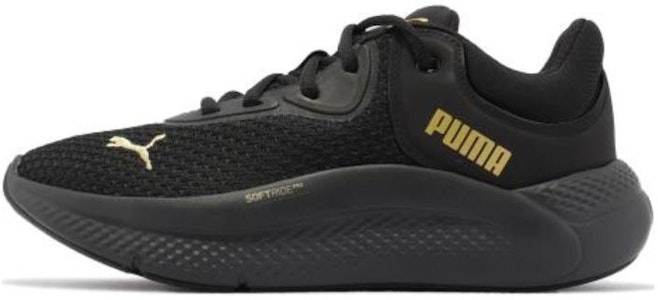 (女性)Puma Softride Pro '金屬 - 黑金隊' 377058-01 Buy (女性)Puma Softride Pro '金屬 - 黑金隊' 377058-01