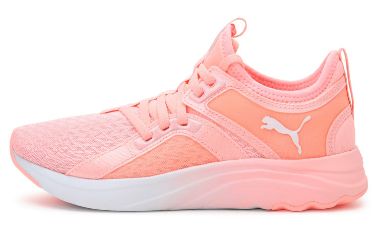 Buy (W) プーマ ソフトライド ソフィア フェード ピンク 194376-03