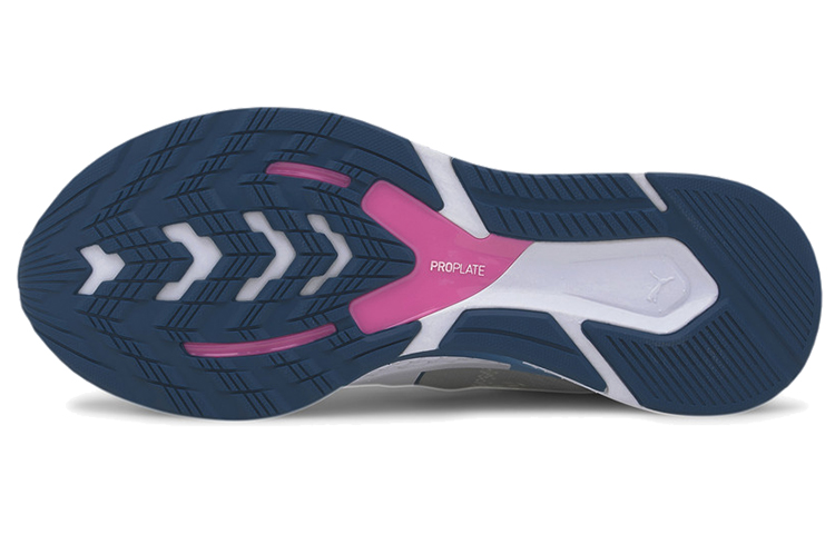 Details for (W) Puma Speed 500 2 Gris/Bleu/Blanc 193671-01