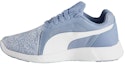 Buy (W) Puma ST Trainer Evo 'Biru Leopard' 364382-01