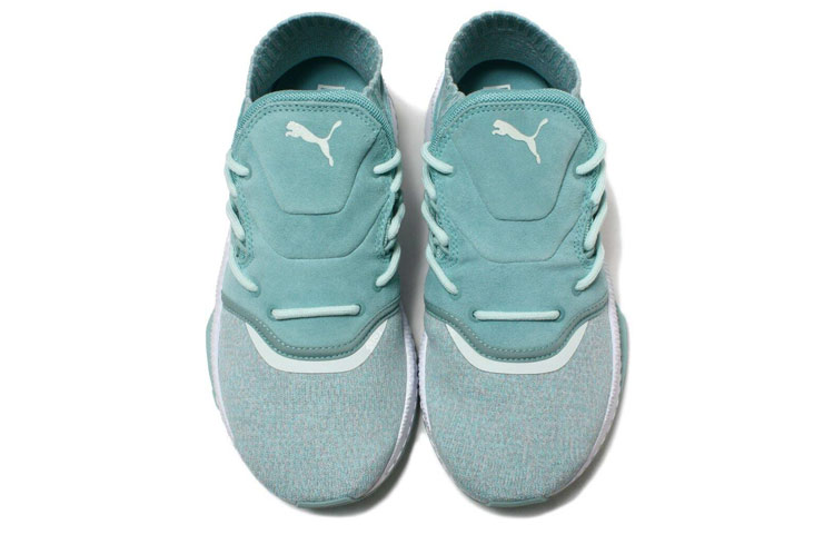 Lookbook (W) Puma Tsugi Shinsei Evoknit ''Blauw'' 365541-01