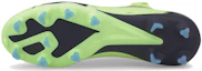 Purchase (W) Puma Ultra Match FG/AG 'Hijau Hitam' 106905-01