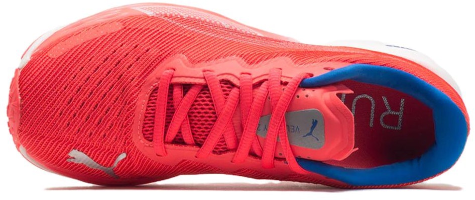 (W) Puma Velocity Nitro 2 'Fire Orchid' Sepatu Lari Wanita 376262-21 Shop (W) Puma Velocity Nitro 2 'Fire Orchid' Sepatu Lari Wanita 376262-21