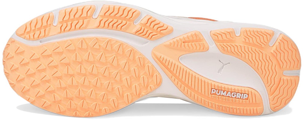 (W) Puma Velocity Nitro 2 Wildwash '活力蜜瓜' 376265-01 Purchase (W) Puma Velocity Nitro 2 Wildwash '活力蜜瓜' 376265-01