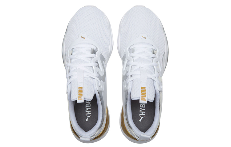 Shop (W) Puma Zone Xt Metal 'Putih Emas' 193032-01