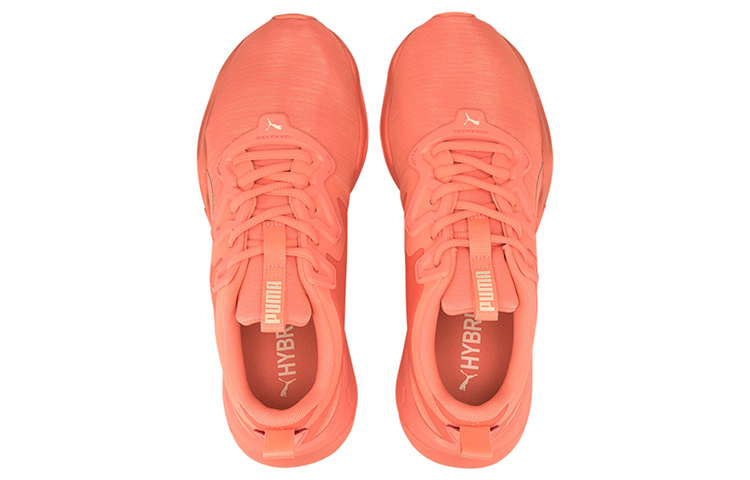 Lookbook (W) Puma Zone XT Pearl ''Pêche Énergétique'' 194112-02