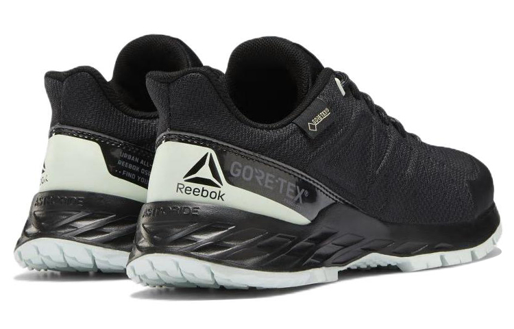Shop (W) Reebok Astroride Trail GTX 2.0 'Negro' DV5957