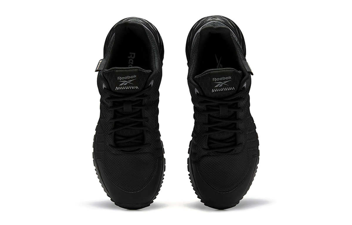 Shop (W) Reebok Astroride Trail GTX 2.0 ''Noir'' EF4179
