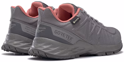 Purchase 銳步 Astroride Trail GTX 2.0 女款 灰色 跑步鞋