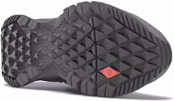 Details for 銳步 Astroride Trail GTX 2.0 女款 灰色 跑步鞋