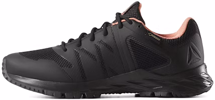 (Women) Reebok Astroride Trail GTX 'Black' CN6237 (Women) Reebok Astroride Trail GTX 'Black' CN6237