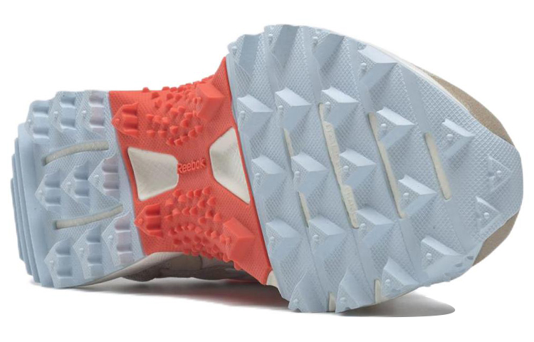 Purchase (W) Reebok At Craze 2.0 ''Marron Bleu'' EF7050