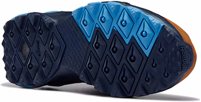 Purchase Reebok Aztrek Double Mix Trail 紅藍色 女款 跑步鞋