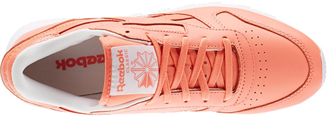 (Women) Reebok Classic Leather Seasonal II 'Pink Blue' AR2805 Lookbook (Women) Reebok Classic Leather Seasonal II 'Pink Blue' AR2805