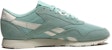 (W) Reebok Classic Nylon Mesh 'Hijau Pudina' CN0110