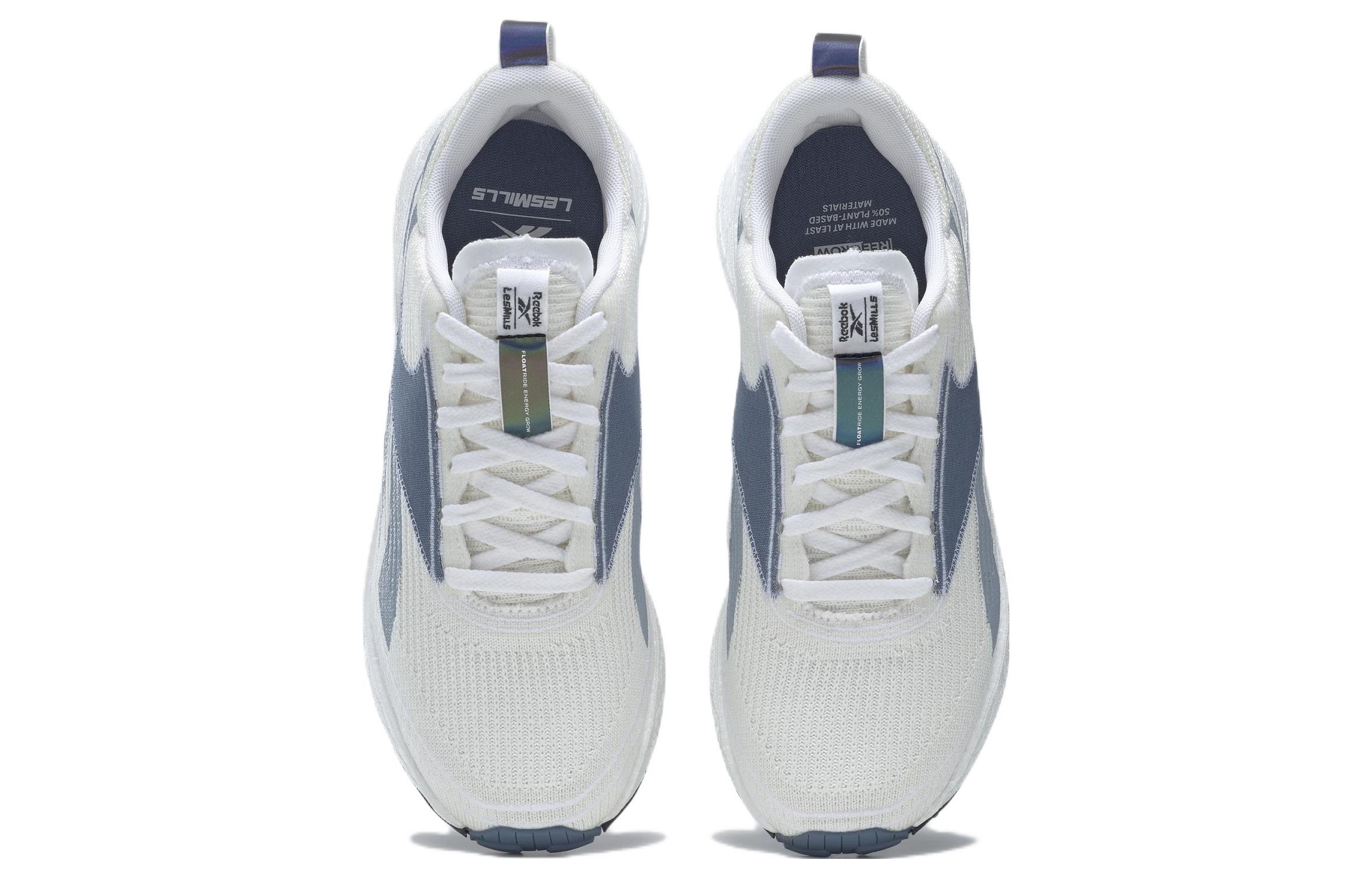 Shop (W) Reebok Floatride Energy Grow 'Biru Warna' GZ3983