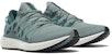(W) Reebok Floatride Run 2 'Hijau Lumut' EF3544
