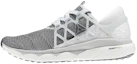 Buy (W) Reebok Floatride Run Flexweave ''Grigio Bianco'' CN6164