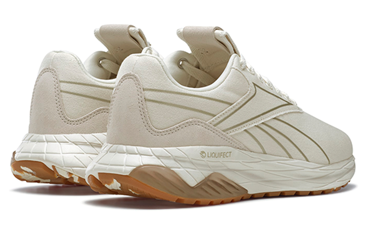 Purchase (W) Reebok Liquifect 180 2 ''Grigio Bianco'' FX1659