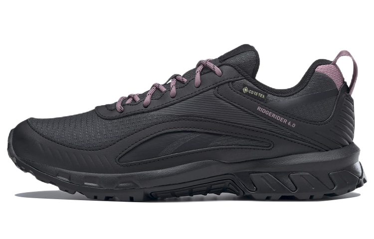 (Women) Reebok Ridgerider 6 Gore-Tex 'Black Purple' GW1196