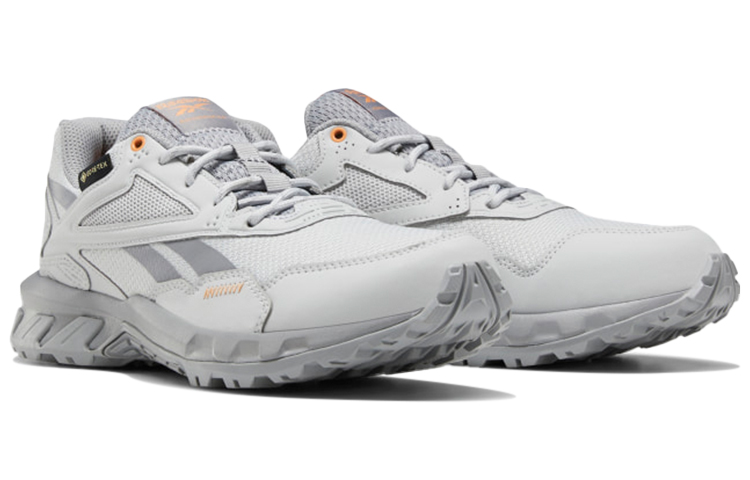 Lookbook (Women) Reebok Ridgerider Gtx 5.0 Gray EF4129
