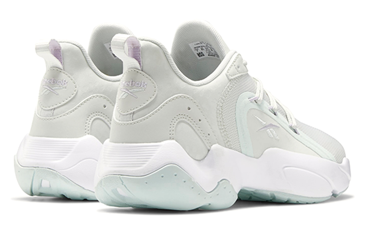 Purchase (W) Reebok Royal Pervader ''Grijs Wit'' FX2361