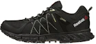 Buy (W) Reebok Trailgrip RS 5.0 GTX ''Zwart'' BD4156