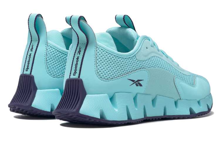 Shop (W) Reebok Zig Dynamica 'Azul Hielo' G54846