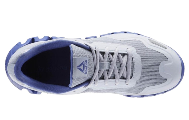 Lookbook (W) Reebok Zig Pulse ''Grijs Blauw Laag''. CM8716