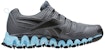 (W) Reebok Zig Wild TR 2 'Kelabu Biru' BD2272