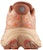 (Women) Salomon Aero Glide 2 'Spice Route Fresh Salmon' L47426600