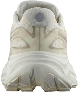 (W) Salomon Aero Glide 2 'Vanilla Ice' Lelaki Wanita Kasut Lari L47426800 Shop (W) Salomon Aero Glide 2 'Vanilla Ice' Lelaki Wanita Kasut Lari L47426800