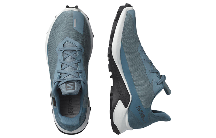 Lookbook (W) Salomon Alphacross 3 Gore-Tex '蓝色' 414475