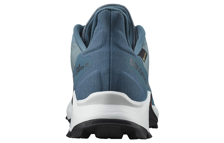 Shop (W) Salomon Alphacross 3 Gore-Tex '蓝色' 414475