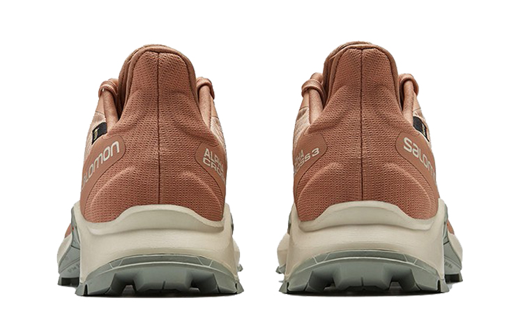 Lookbook (W) Salomon Alphacross 3 GTX '杏色' 越野跑鞋 414476