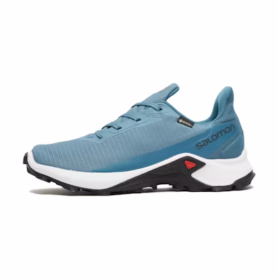 (W) Salomon Alphacross 3 GTX 'Blue'