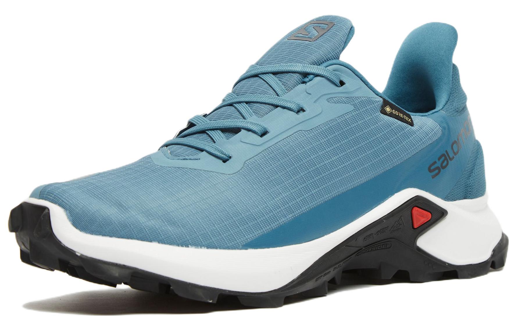 Order (W) Salomon Alphacross 3 GTX ''Bleu'' 472359