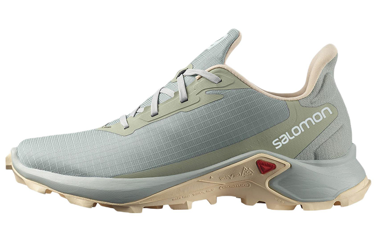 (Women) Salomon Alphacross 3 Low 'Grey' 416000