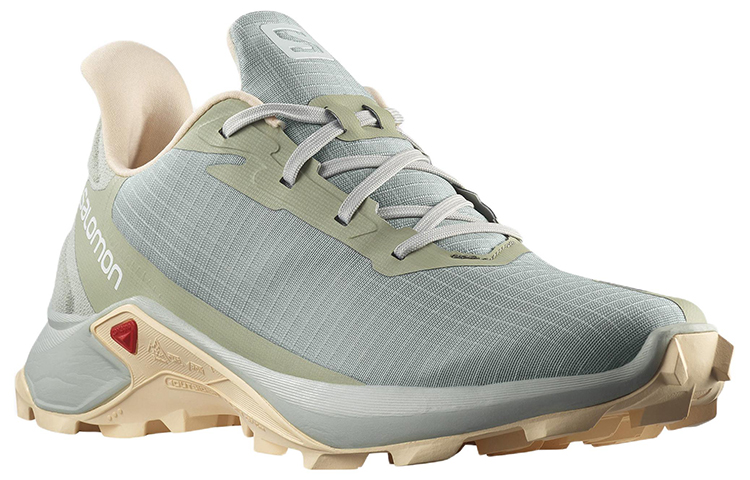 Order (W) Salomon Alphacross 3 低帮“灰色” 416000